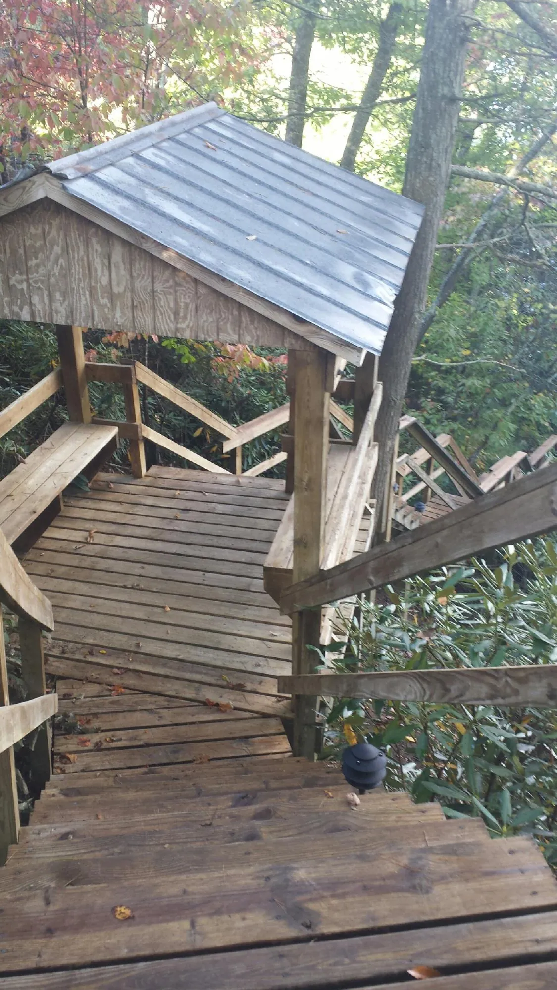 Metal roofed shelter over wooden steps on a wooded walkway — Skylight Repair & Installation work by our crew in Olmstead